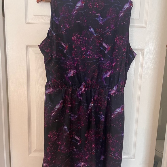 City Chi women's XL hummingbird dress - Picture 4 of 6